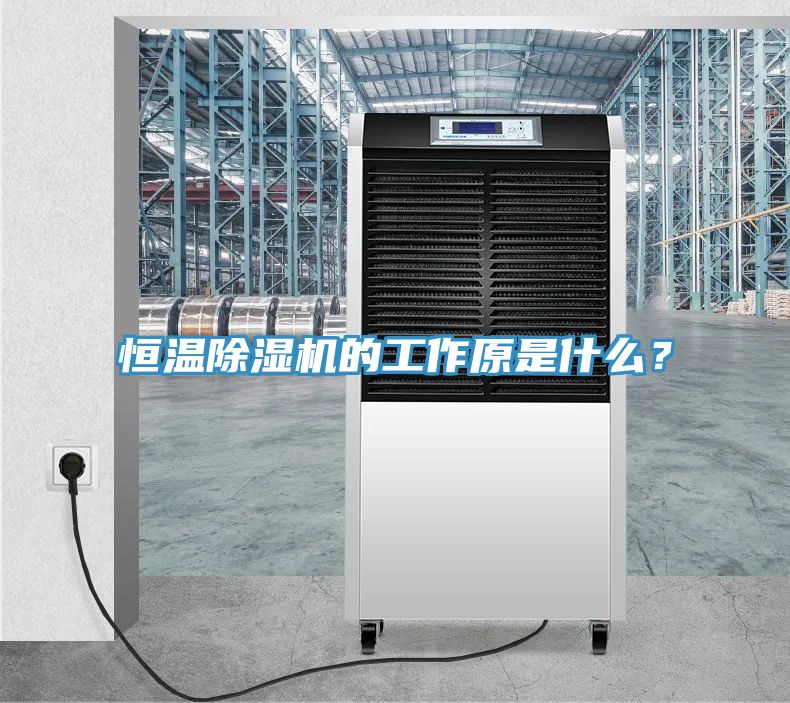 恒溫除濕機(jī)的工作原是什么？