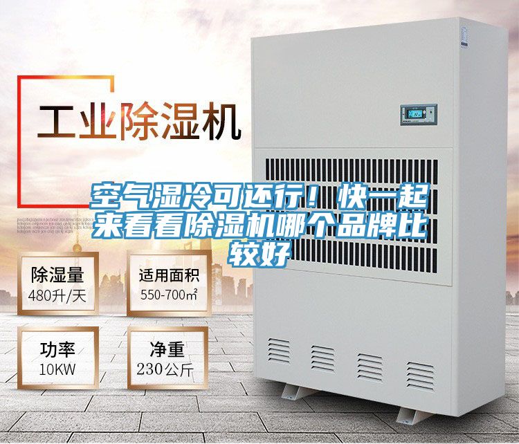 空氣濕冷可還行！快一起來看看除濕機哪個品牌比較好
