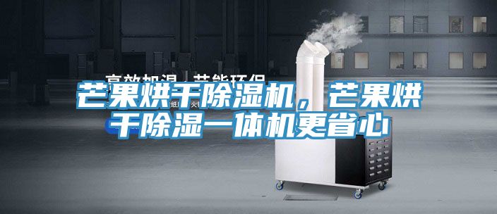 芒果烘干除濕機，芒果烘干除濕一體機更省心