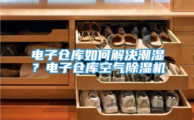電子倉庫如何解決潮濕？電子倉庫空氣除濕機