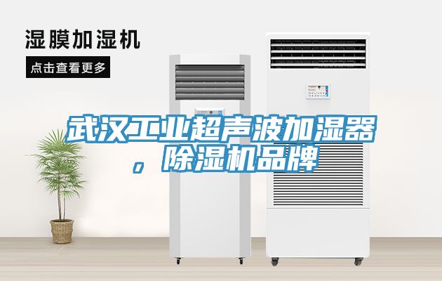 武漢工業(yè)超聲波加濕器，除濕機(jī)品牌