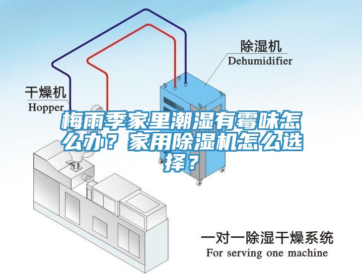 梅雨季家里潮濕有霉味怎么辦？家用除濕機怎么選擇？