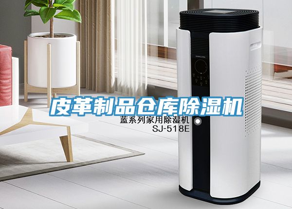 皮革制品倉(cāng)庫(kù)除濕機(jī)