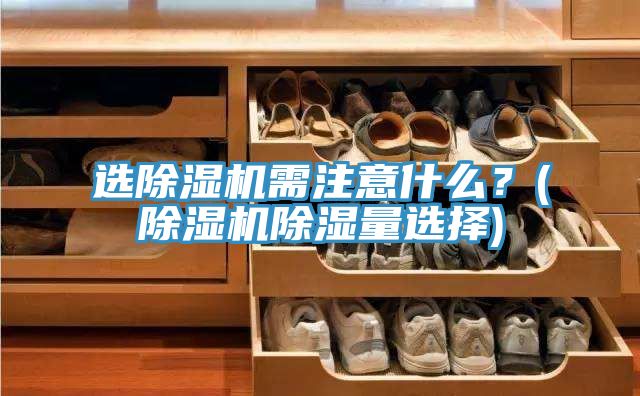 選除濕機(jī)需注意什么？(除濕機(jī)除濕量選擇)