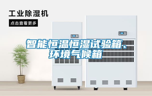 智能恒溫恒濕試驗(yàn)箱、環(huán)境氣候箱