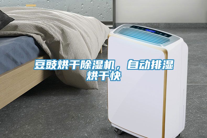 豆豉烘干除濕機(jī)，自動排濕烘干快