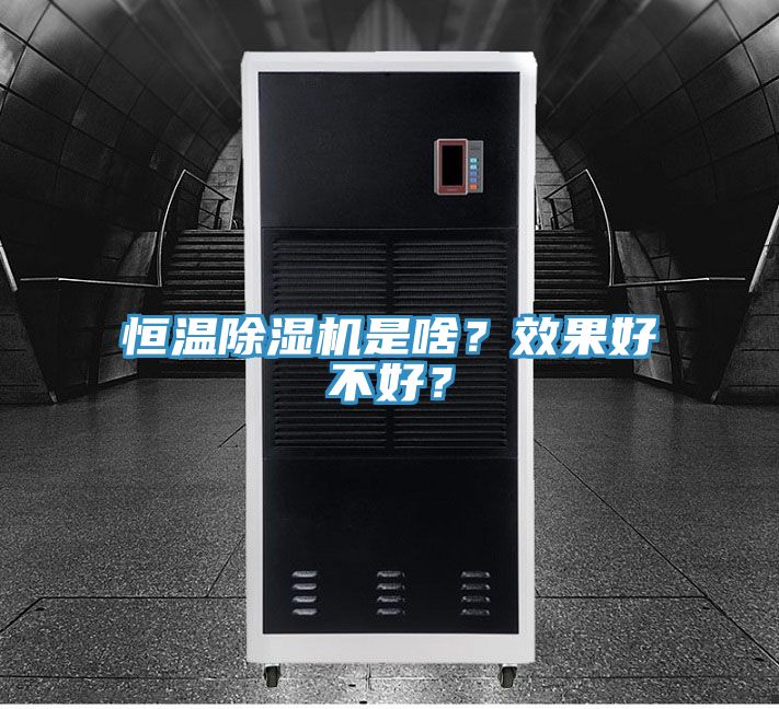 恒溫除濕機(jī)是啥？效果好不好？
