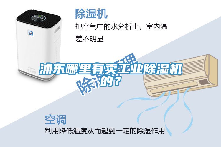 浦東哪里有賣工業(yè)除濕機的？