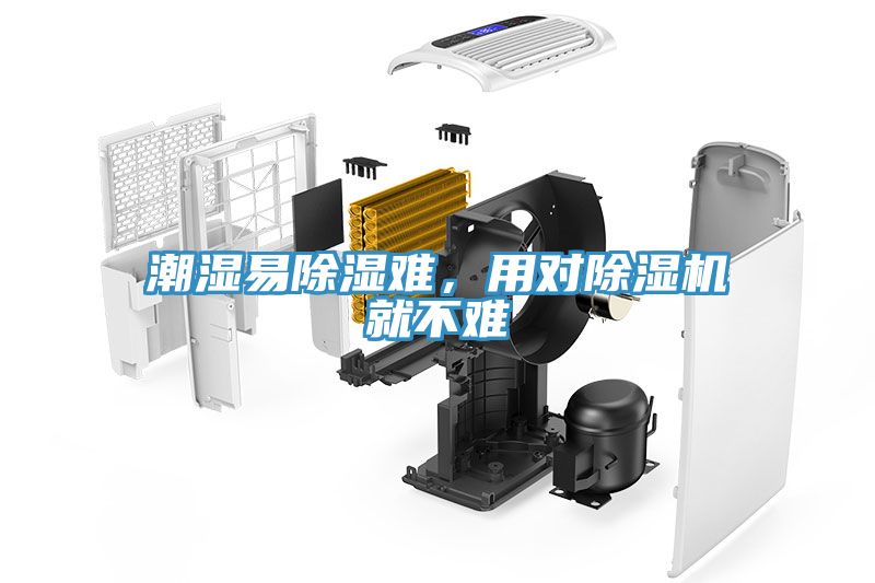 潮濕易除濕難，用對除濕機就不難