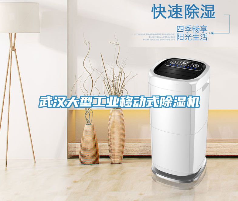 武漢大型工業(yè)移動式除濕機