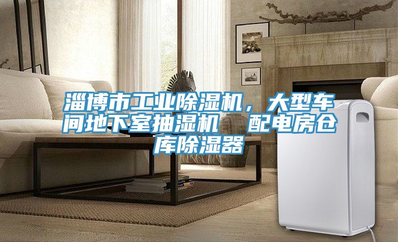 淄博市工業(yè)除濕機(jī)，大型車間地下室抽濕機(jī)  配電房倉(cāng)庫(kù)除濕器