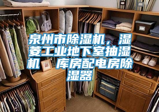 泉州市除濕機，濕菱工業(yè)地下室抽濕機  庫房配電房除濕器
