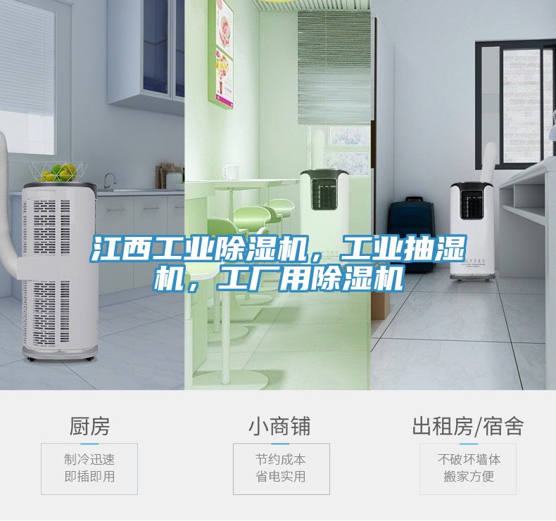 江西工業(yè)除濕機(jī)，工業(yè)抽濕機(jī)，工廠用除濕機(jī)