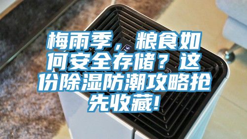 梅雨季，糧食如何安全存儲(chǔ)？這份除濕防潮攻略搶先收藏!