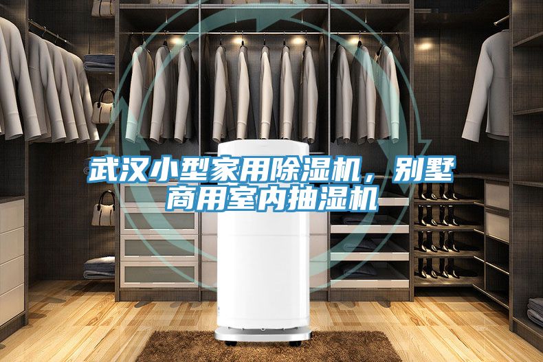 武漢小型家用除濕機，別墅商用室內(nèi)抽濕機