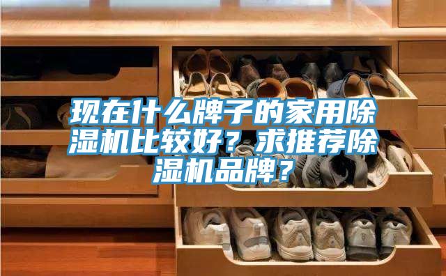 現(xiàn)在什么牌子的家用除濕機(jī)比較好？求推薦除濕機(jī)品牌？