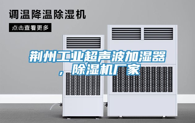 荊州工業(yè)超聲波加濕器，除濕機廠家