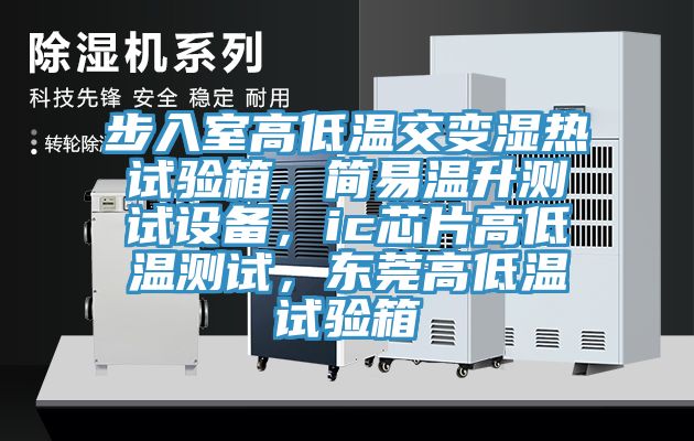 步入室高低溫交變濕熱試驗箱，簡易溫升測試設(shè)備，ic芯片高低溫測試，東莞高低溫試驗箱