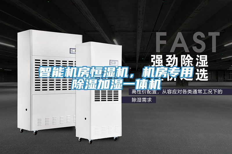 智能機(jī)房恒濕機(jī)，機(jī)房專用除濕加濕一體機(jī)