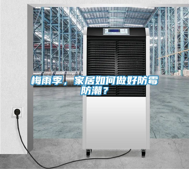 梅雨季，家居如何做好防霉防潮？