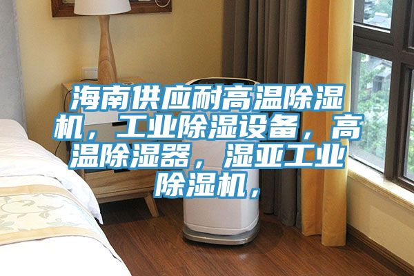 海南供應(yīng)耐高溫除濕機，工業(yè)除濕設(shè)備，高溫除濕器，濕亞工業(yè)除濕機，