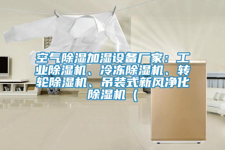 空氣除濕加濕設(shè)備廠家：工業(yè)除濕機、冷凍除濕機、轉(zhuǎn)輪除濕機、吊裝式新風(fēng)凈化除濕機（