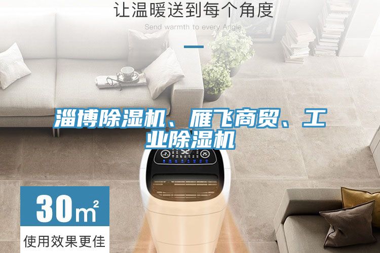 淄博除濕機(jī)、雁飛商貿(mào)、工業(yè)除濕機(jī)