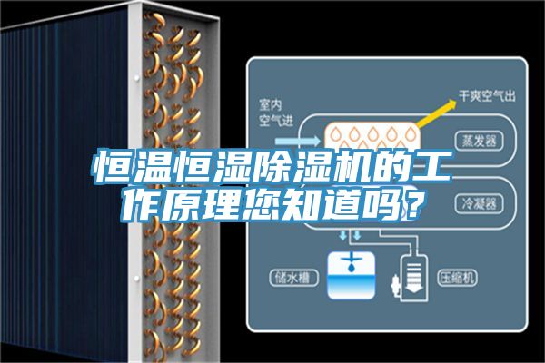 恒溫恒濕除濕機的工作原理您知道嗎？