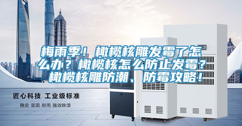 梅雨季！橄欖核雕發(fā)霉了怎么辦？橄欖核怎么防止發(fā)霉？ 橄欖核雕防潮、防霉攻略！