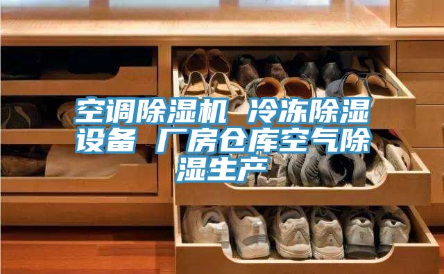 空調(diào)除濕機 冷凍除濕設備 廠房倉庫空氣除濕生產(chǎn)