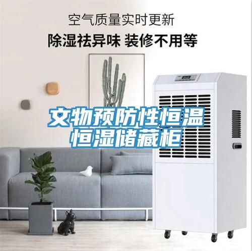 文物預(yù)防性恒溫恒濕儲藏柜