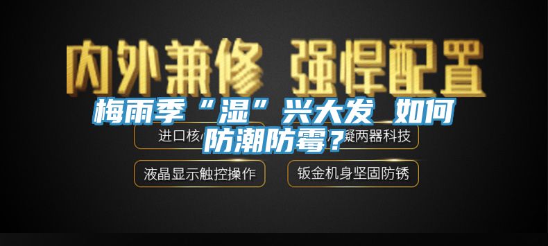 梅雨季“濕”興大發(fā) 如何防潮防霉？