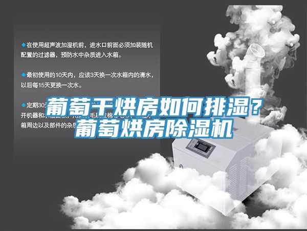 葡萄干烘房如何排濕？葡萄烘房除濕機