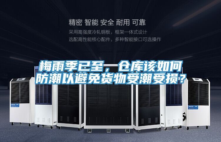 梅雨季已至，倉庫該如何防潮以避免貨物受潮受損？