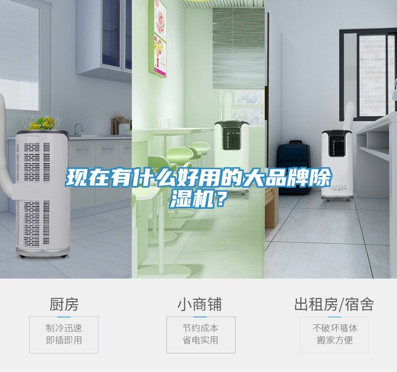 現(xiàn)在有什么好用的大品牌除濕機(jī)？