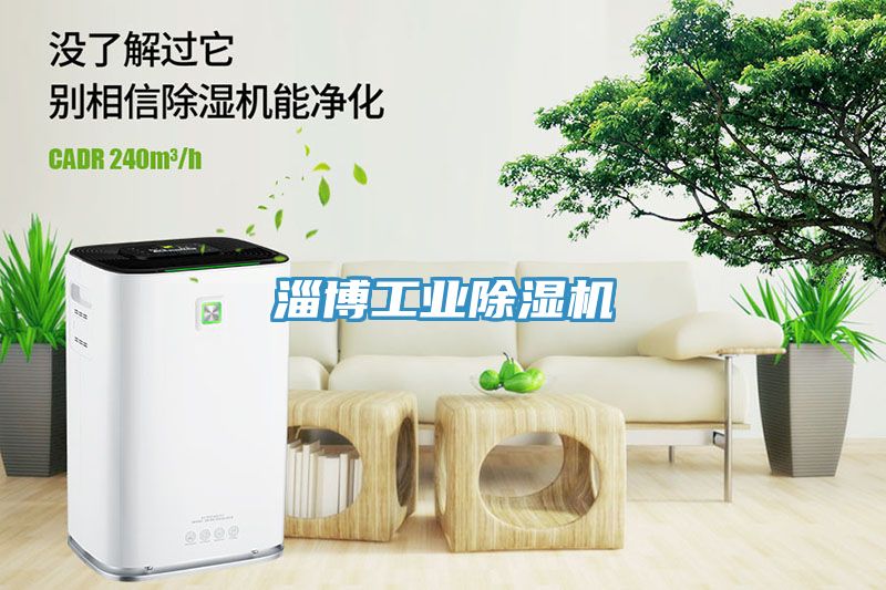 淄博工業(yè)除濕機(jī)