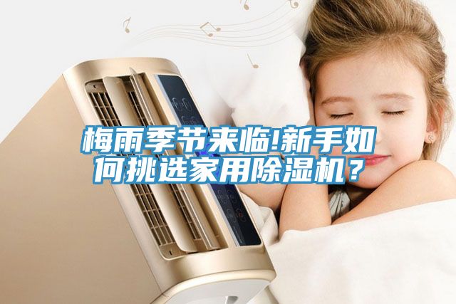 梅雨季節(jié)來(lái)臨!新手如何挑選家用除濕機(jī)？