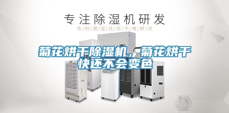 菊花烘干除濕機(jī)，菊花烘干快還不會(huì)變色
