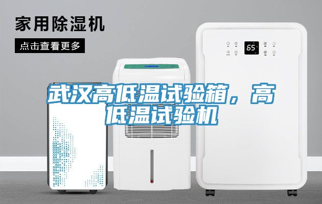 武漢高低溫試驗箱，高低溫試驗機