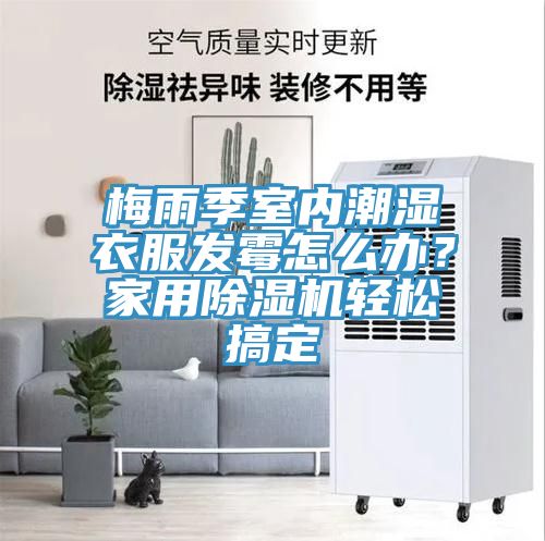 梅雨季室內(nèi)潮濕衣服發(fā)霉怎么辦？家用除濕機輕松搞定