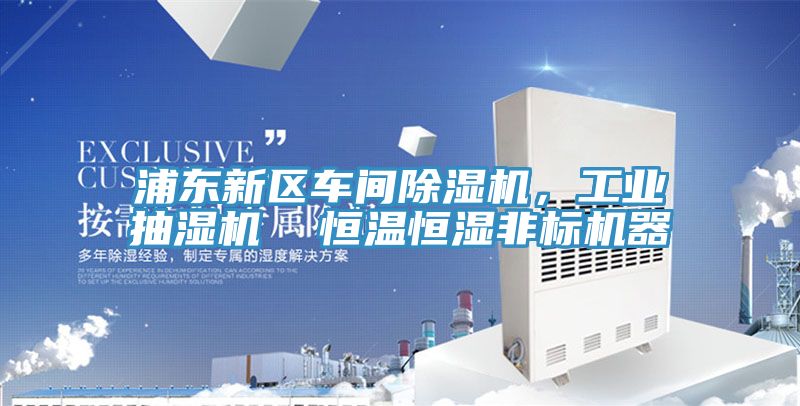 浦東新區(qū)車間除濕機，工業(yè)抽濕機  恒溫恒濕非標(biāo)機器