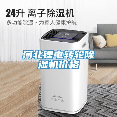 河北鋰電轉(zhuǎn)輪除濕機價格