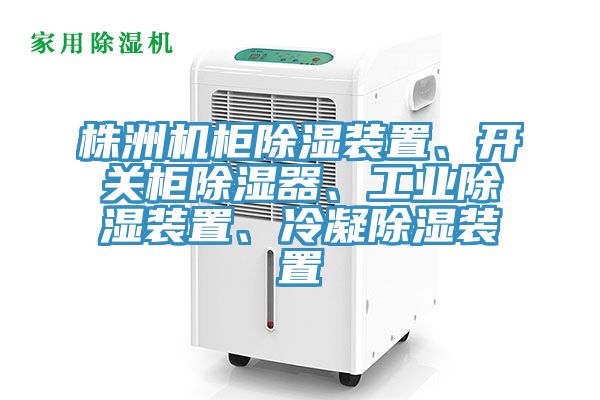 株洲機柜除濕裝置、開關柜除濕器、工業(yè)除濕裝置、冷凝除濕裝置