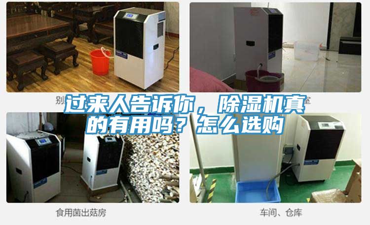 過來人告訴你，除濕機(jī)真的有用嗎？怎么選購