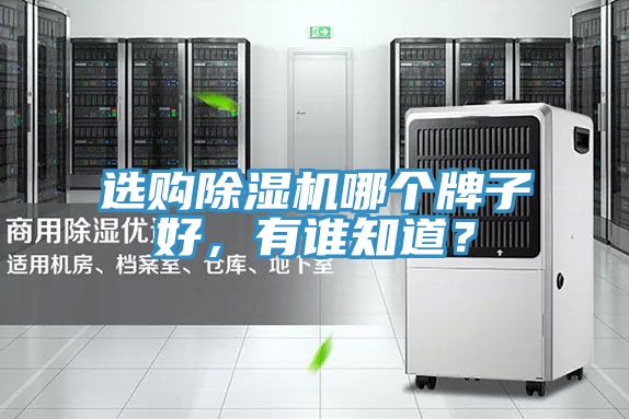 選購除濕機(jī)哪個牌子好，有誰知道？