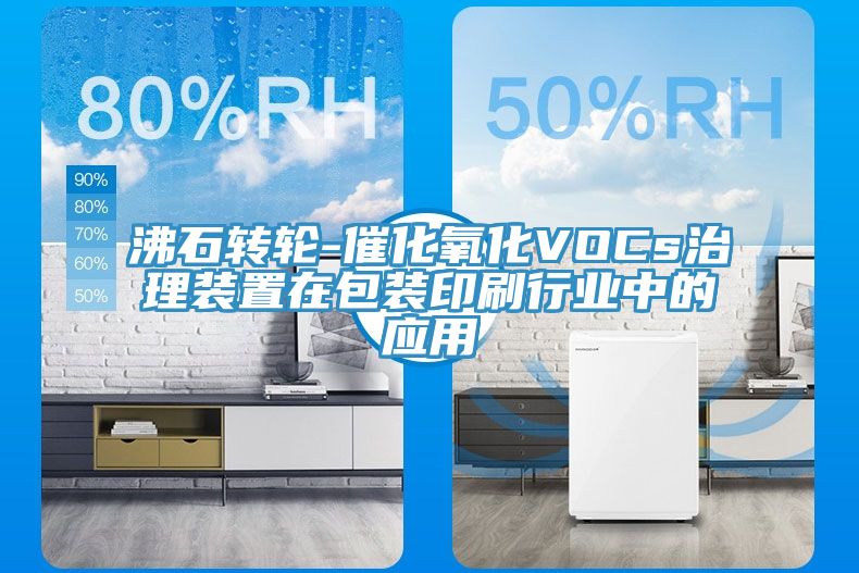 沸石轉(zhuǎn)輪-催化氧化VOCs治理裝置在包裝印刷行業(yè)中的應用