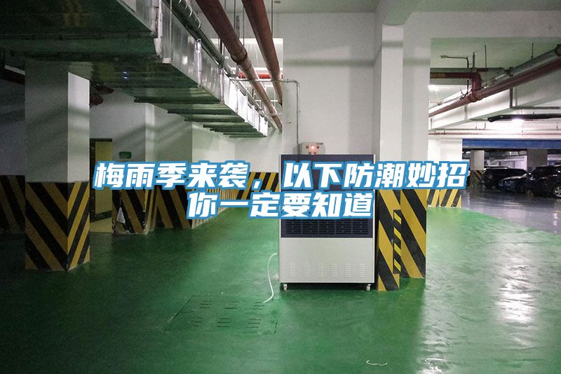 梅雨季來(lái)襲，以下防潮妙招你一定要知道