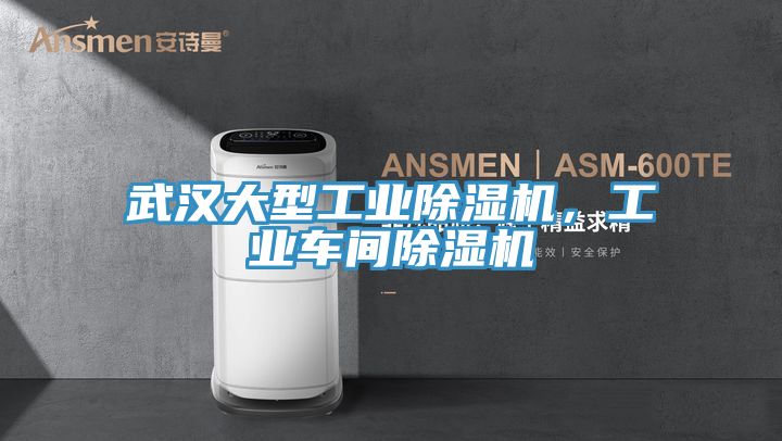 武漢大型工業(yè)除濕機，工業(yè)車間除濕機