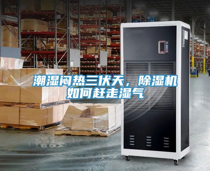 潮濕悶熱三伏天，除濕機如何趕走濕氣