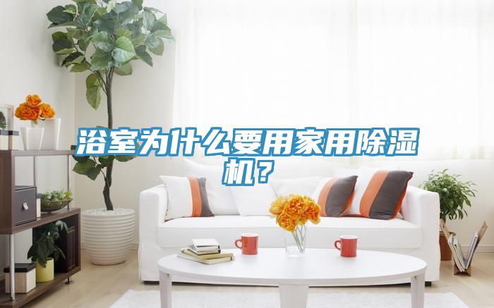 浴室為什么要用家用除濕機？